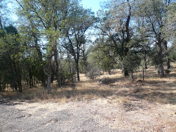 Dersch Rd, Anderson, CA 96007