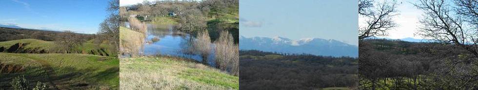 CLICK FOR ENLARGED PHOTOS