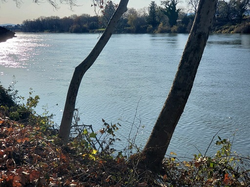 CLICK FOR ENLARGED PHOTOS