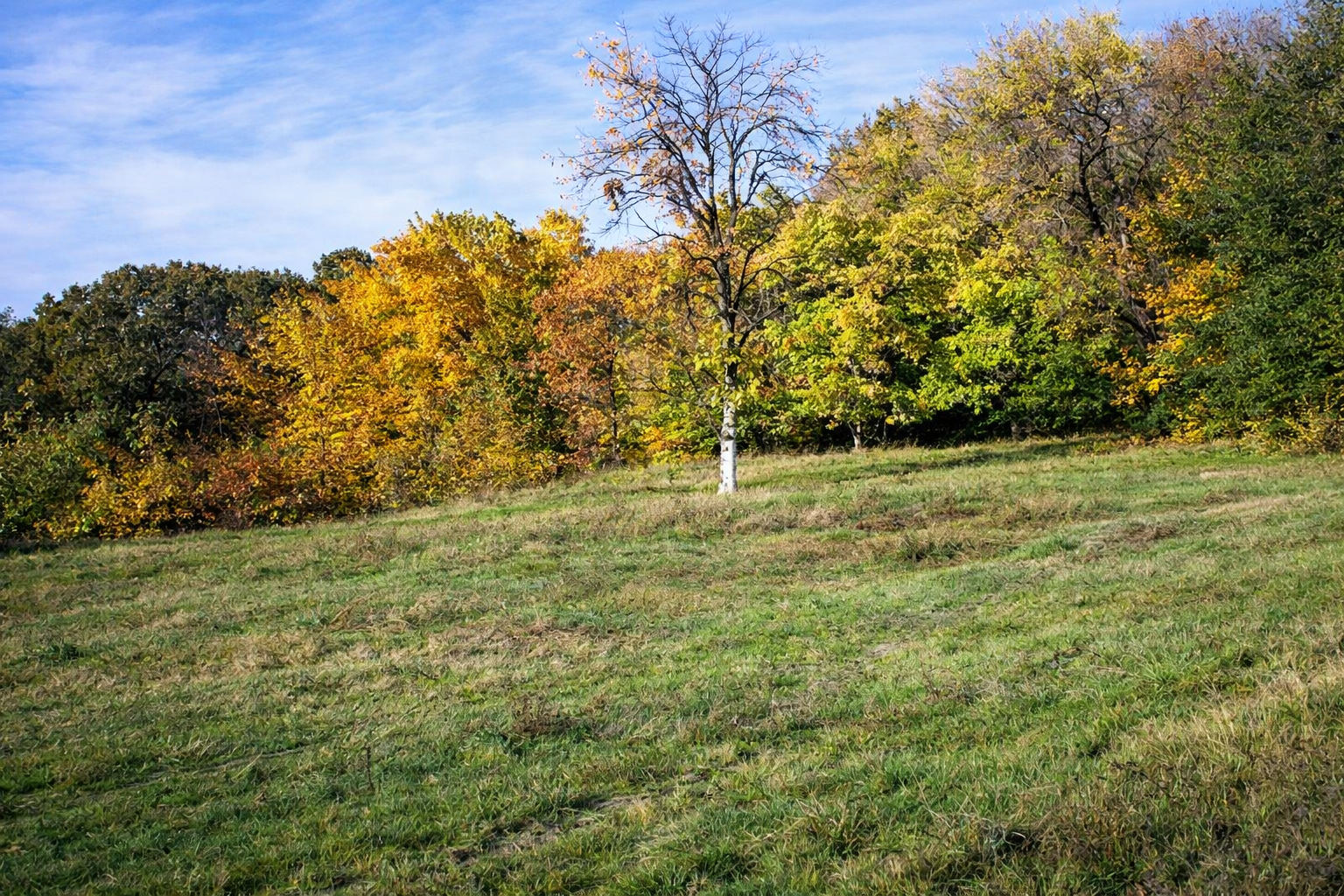 Dersch Rd, Anderson, CA 96007